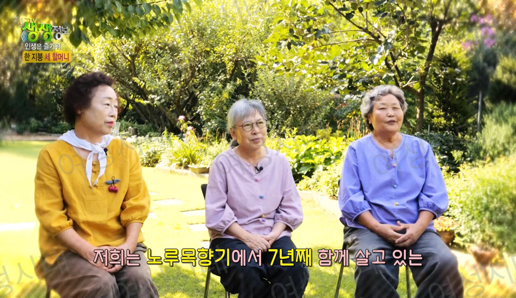 비혼여성의-로망-그자체인-생생정보통-세-할머니-1-이미지
