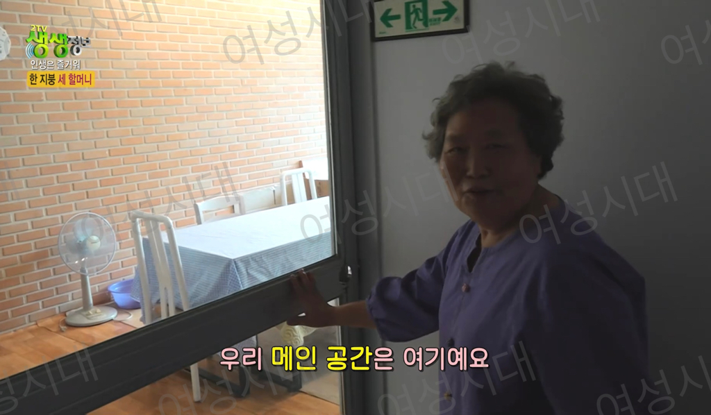 비혼여성의-로망-그자체인-생생정보통-세-할머니-11-이미지