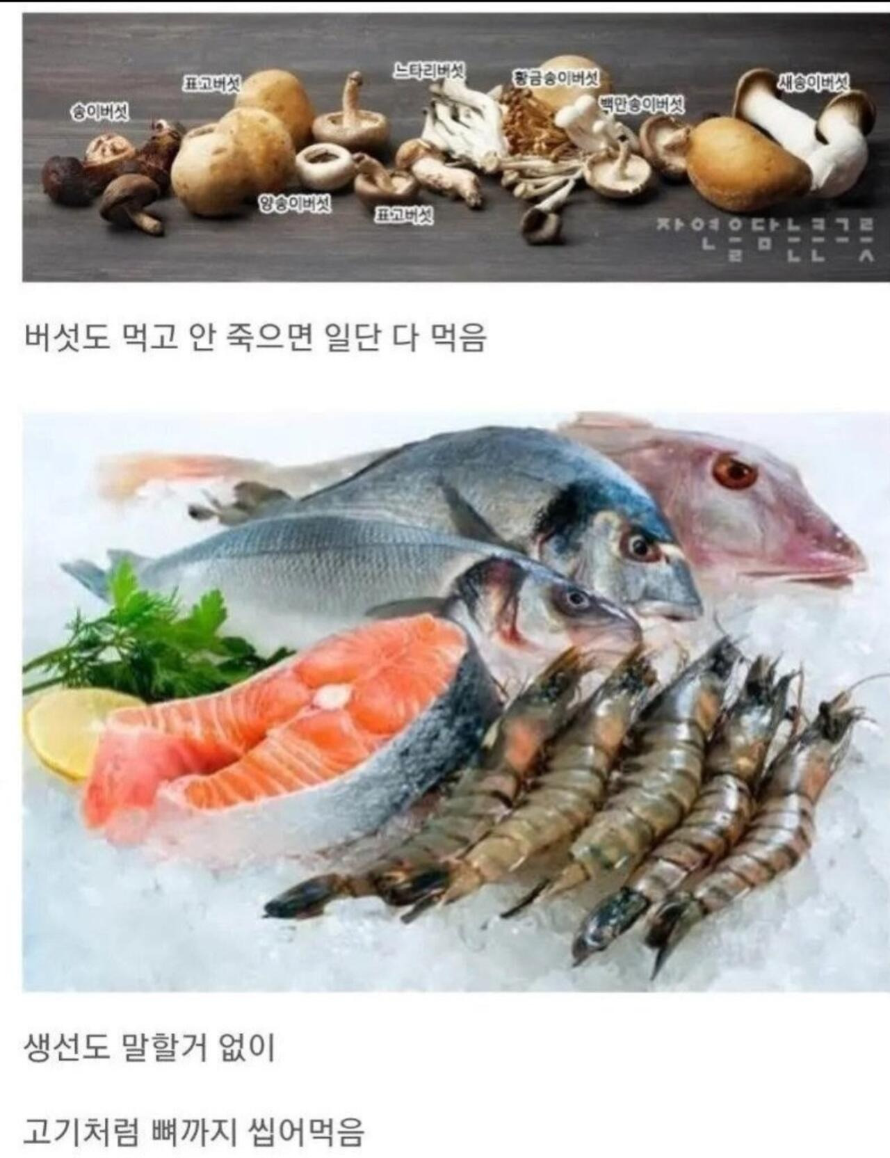 뭐든지-잘-먹는-한국인들-1-이미지