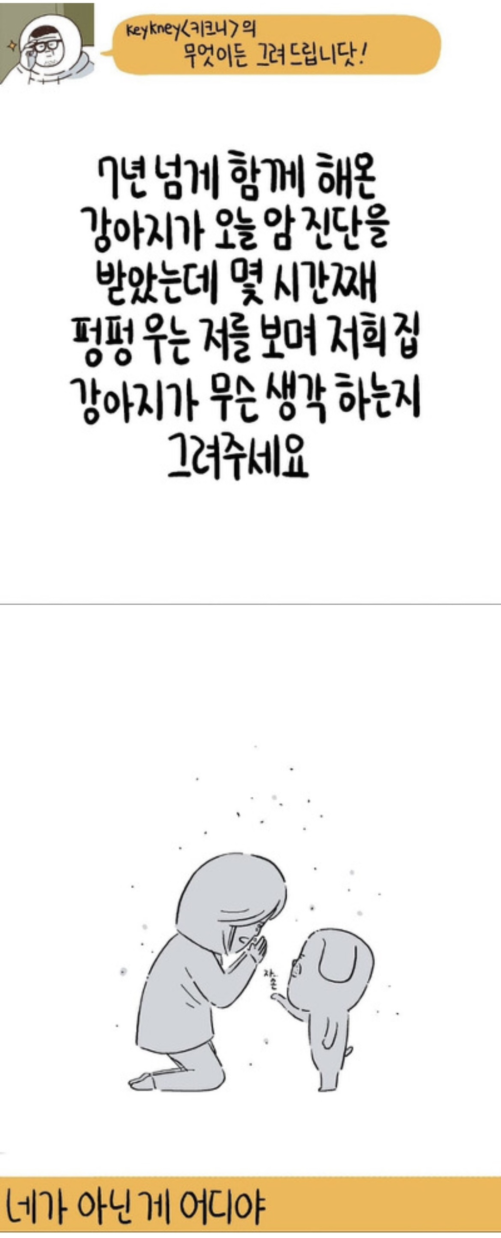 견주와-집사들이-보면-눈물나는-키크니-일러스트들.jpg-13-이미지