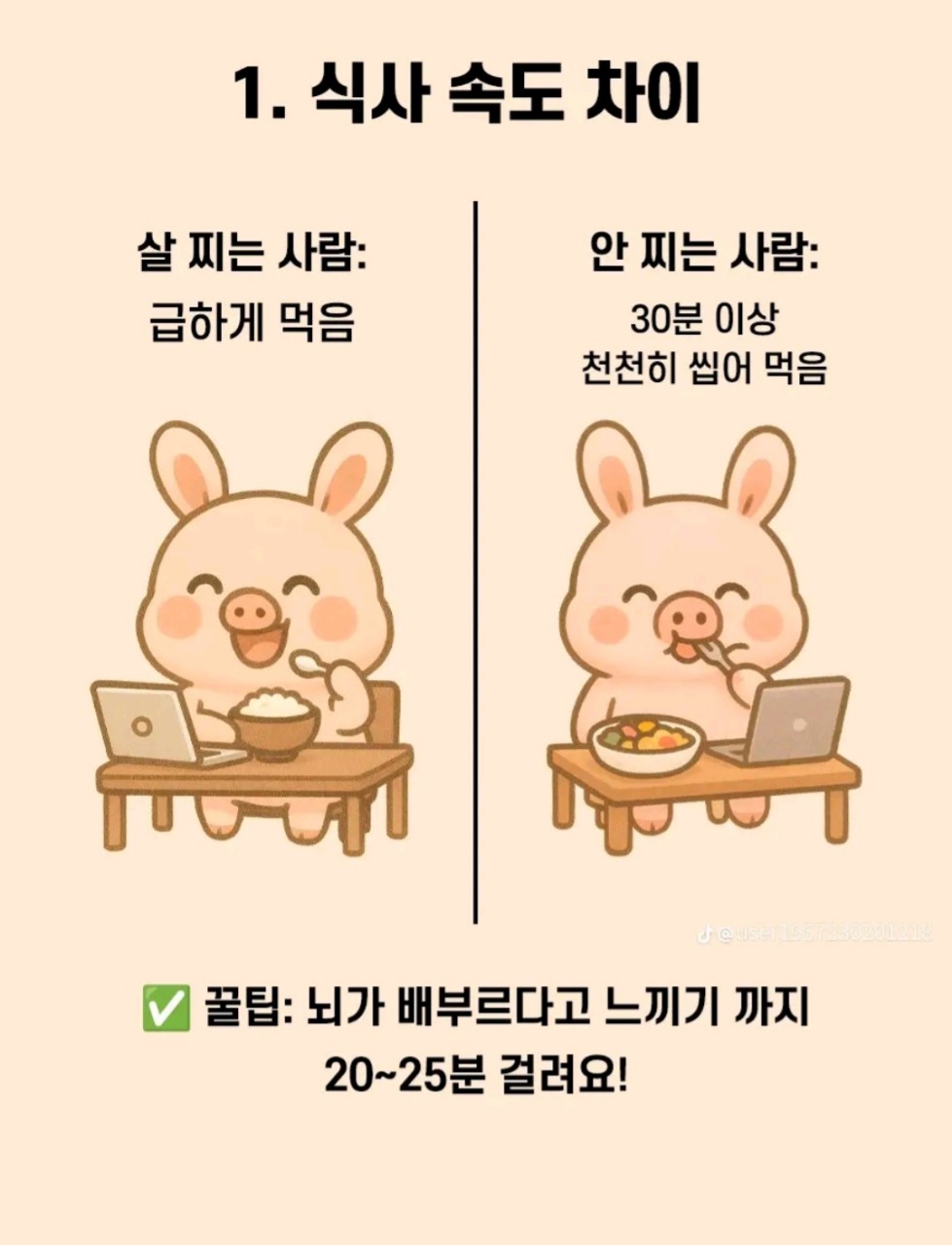 살-찌는-사람-VS-살-안찌는-사람-1-이미지