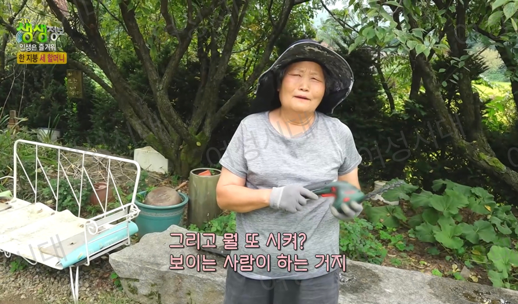 비혼여성의-로망-그자체인-생생정보통-세-할머니-28-이미지