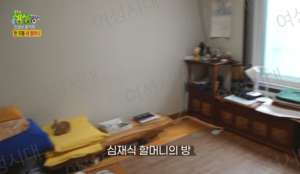 비혼여성의-로망-그자체인-생생정보통-세-할머니-9-이미지