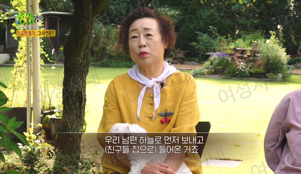 비혼여성의-로망-그자체인-생생정보통-세-할머니-56-이미지