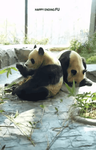 후이바오:-뭐?-예나가-선정이-딸이라구?-0-이미지