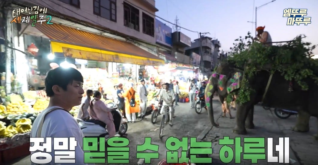 과일가게에서-만난-코끼리에게-다-퍼준-기안84-4-이미지