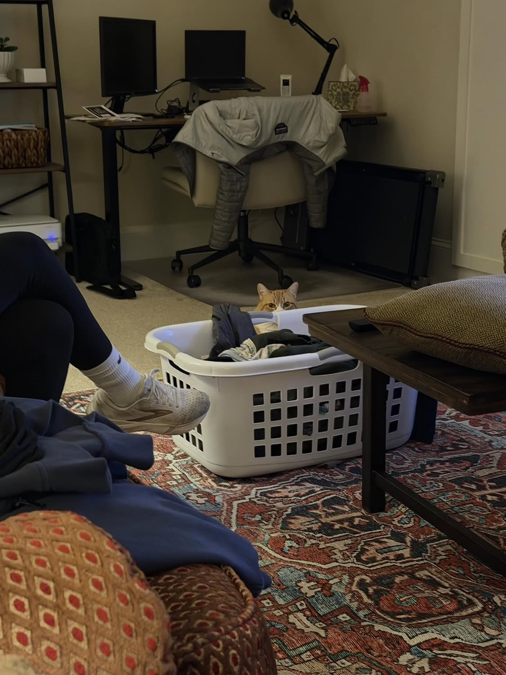 베프-고영이가-나를-개싫어하는데.thread-2-이미지