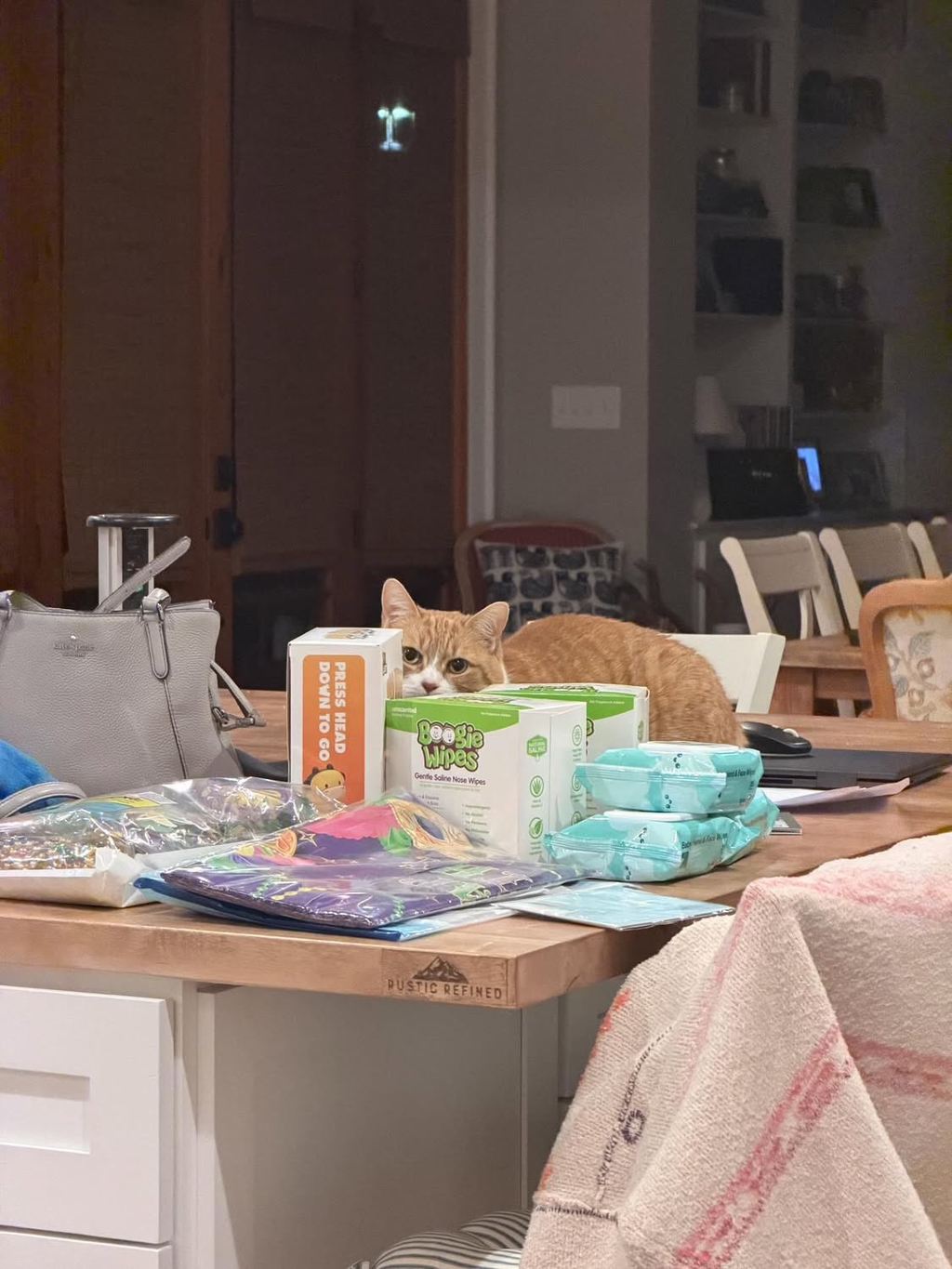 베프-고영이가-나를-개싫어하는데.thread-5-이미지