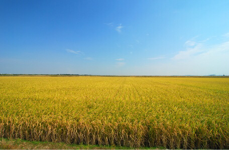 점쟁이의-예언으로-죽은-조선시대-왕자-17-이미지