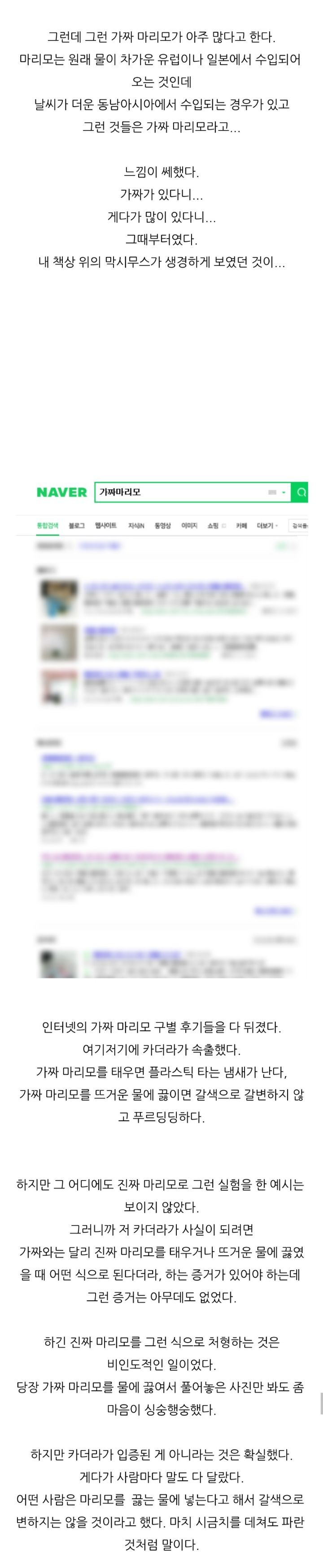 가짜-마리모🟢와-3년을-함께한-사람의-후기-(feat.왜그래-막시무스?)-3-이미지