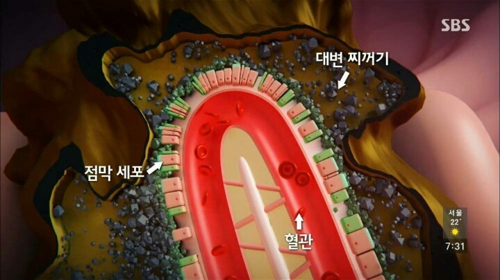 현대인이-꼭-챙겨야할-장-건강.-jpg-10-이미지