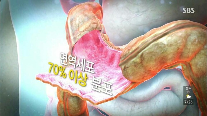 현대인이-꼭-챙겨야할-장-건강.-jpg-6-이미지