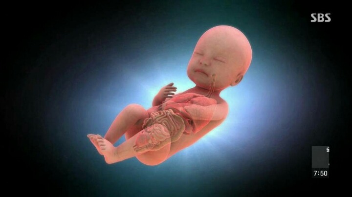 현대인이-꼭-챙겨야할-장-건강.-jpg-18-이미지