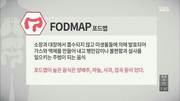 현대인이-꼭-챙겨야할-장-건강.-jpg-14-이미지