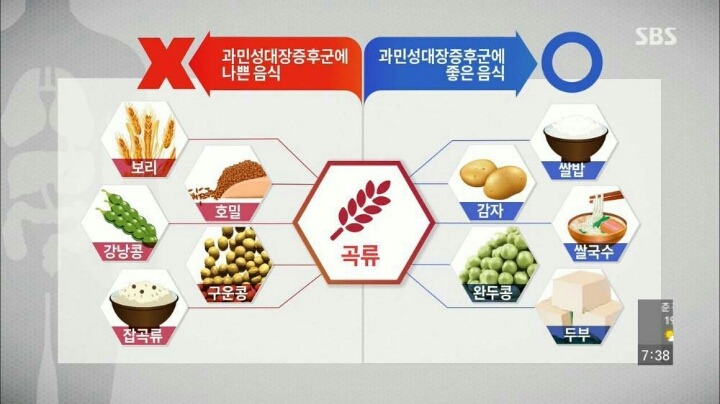 현대인이-꼭-챙겨야할-장-건강.-jpg-16-이미지