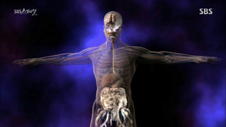 현대인이-꼭-챙겨야할-장-건강.-jpg-0-이미지