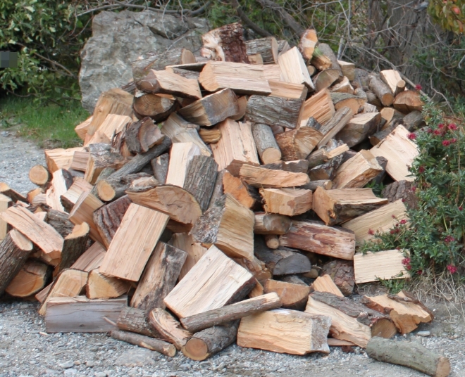 벌목-중-나무-맞은-80대-사망…연휴-맞아-땔감-구하려다-사고-0-이미지