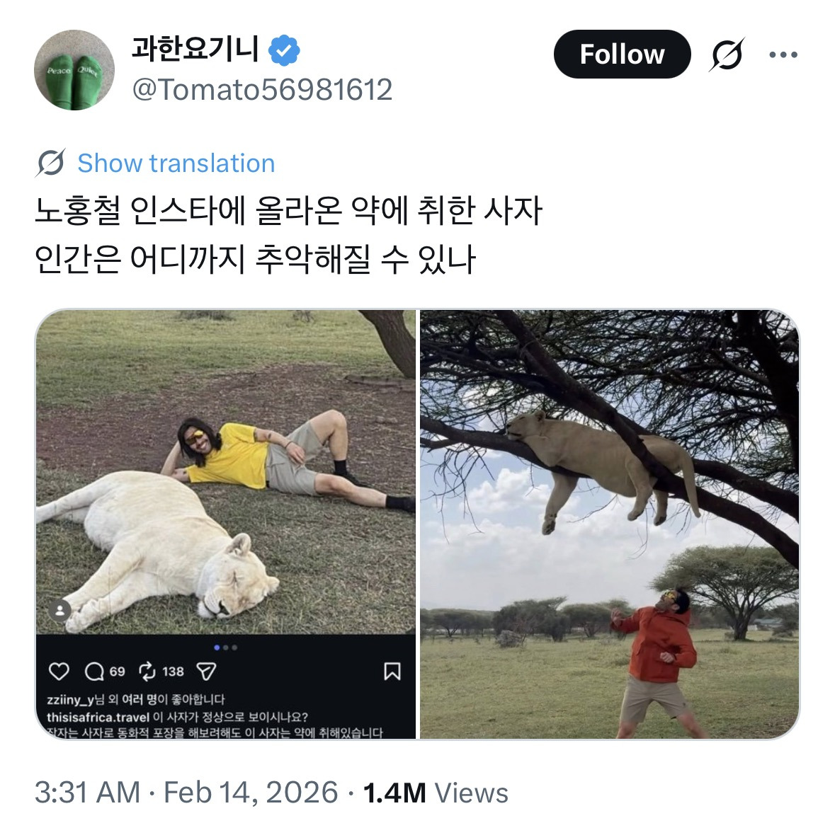 노홍철-인스타에-올라온-약에-취한-사자-0-이미지