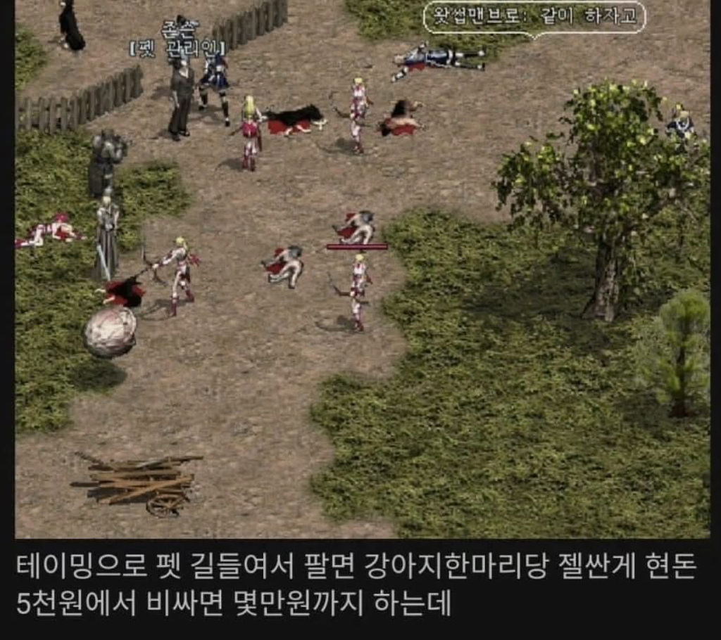 미쳐버린-리니지-근황-0-이미지