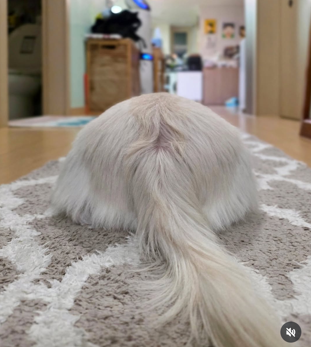 윤택이-자연인이다-찍다가-입양한-강아지-근황-3-이미지