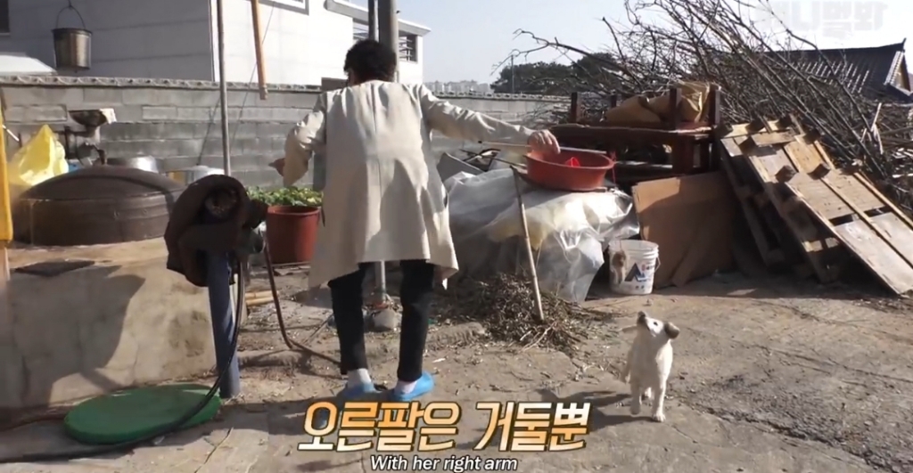 [동물농장]-심심한-댕댕이랑-놀아주는-동농-제작진ㅋㅋㅋ-34-이미지