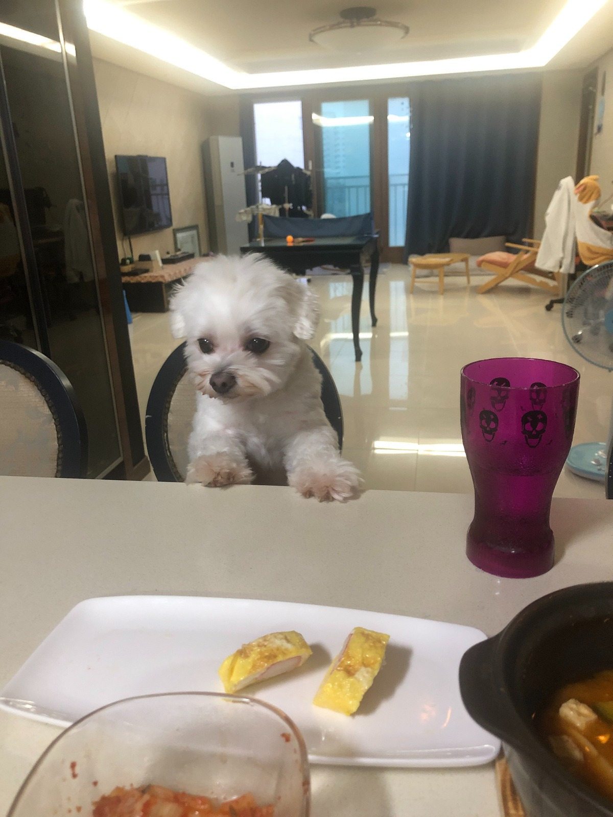 더쿠-후기방에-올라와-귀여움-받은-'식탐-많은-댕댕이'-글-6-이미지