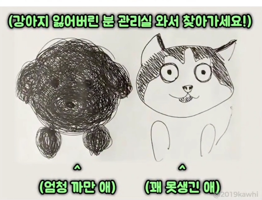 집나간-댕댕이-2마리-찾는-전단지-1-이미지