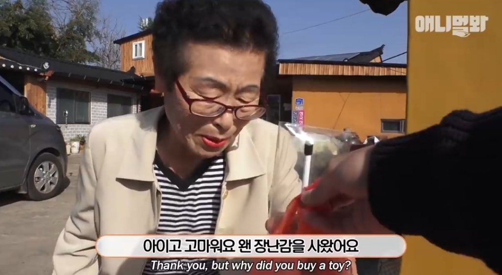 [동물농장]-심심한-댕댕이랑-놀아주는-동농-제작진ㅋㅋㅋ-30-이미지