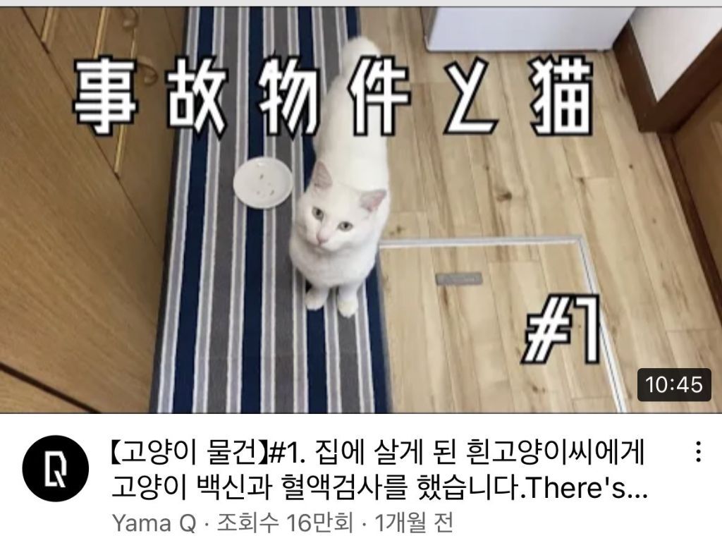 퇴마사에서-집사로-전직한-유튜버-4-이미지