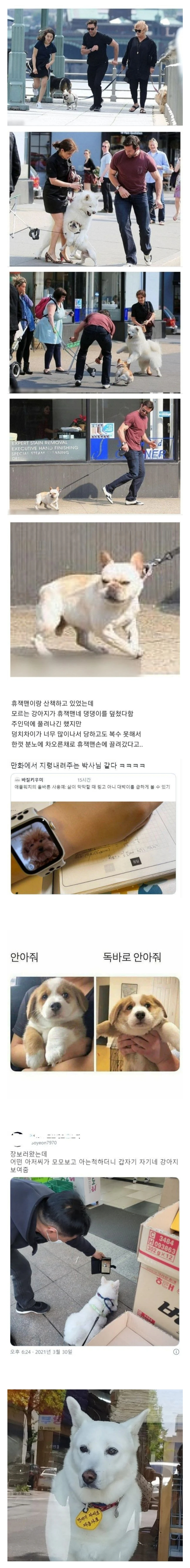 산책왔는데-강아지랑-싸웠어-진짜짜증나-3-이미지