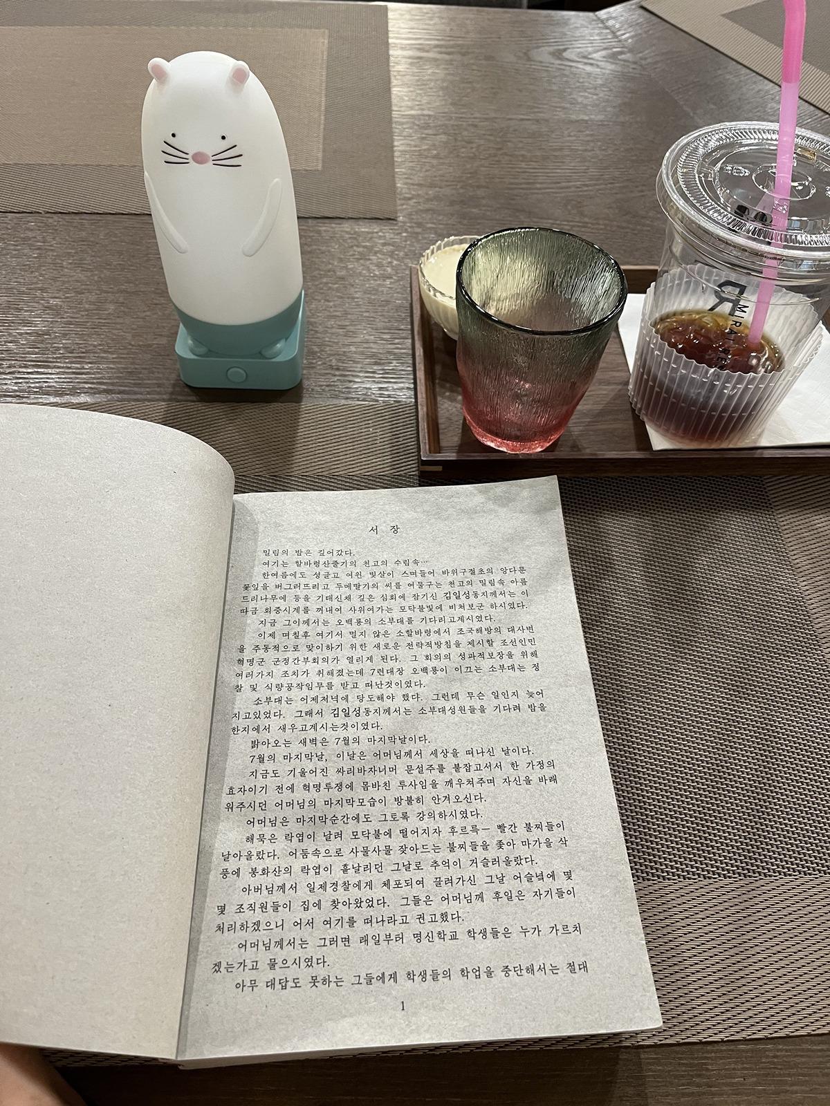 북한-평양-카페-근황.jpg-7-이미지