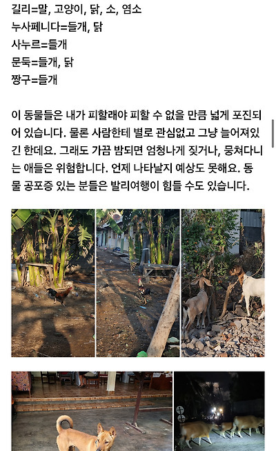발리-여행카페-공지로-등록된＜발리에-여행가면-안되는-유형인-사람들＞.jpg-6-이미지