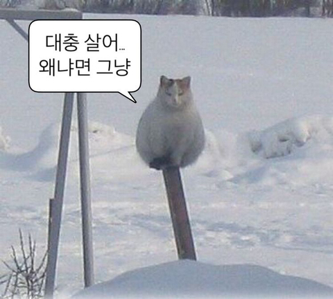 육아도-적성에-맞는-사람이-있는-것-같은-달글-0-이미지