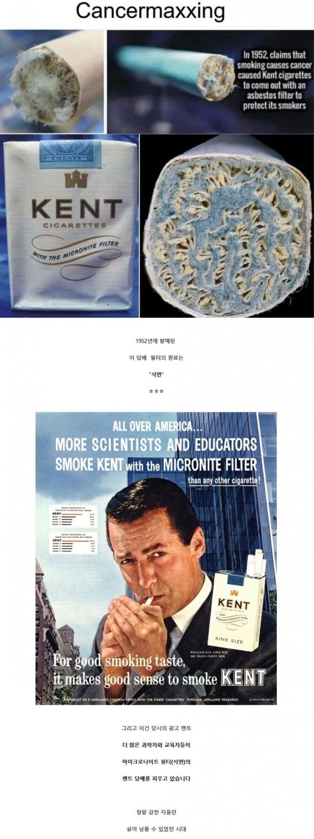 1952년-발매된-담배-필터의-원료-1-이미지