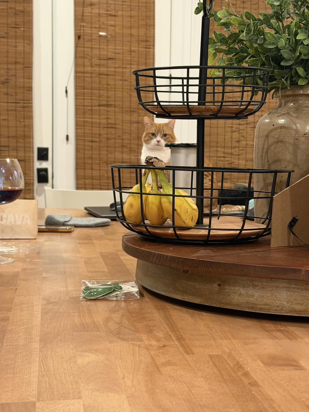 베프-고영이가-나를-개싫어하는데.thread-8-이미지