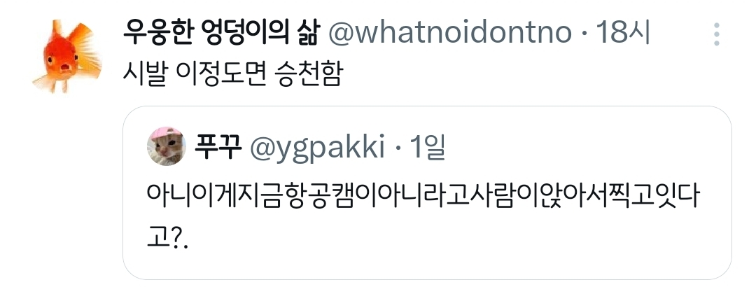 오늘-진심-하룰라라석이었는데.twt-4-이미지