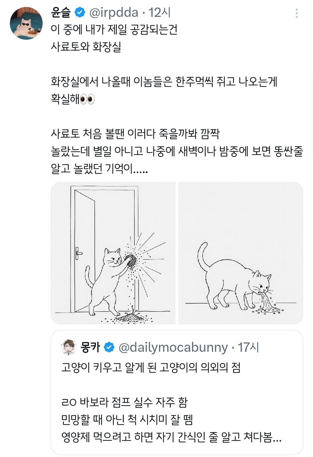고양이-키우고-알게-된-고양이의-의외의-점.twt-2-이미지