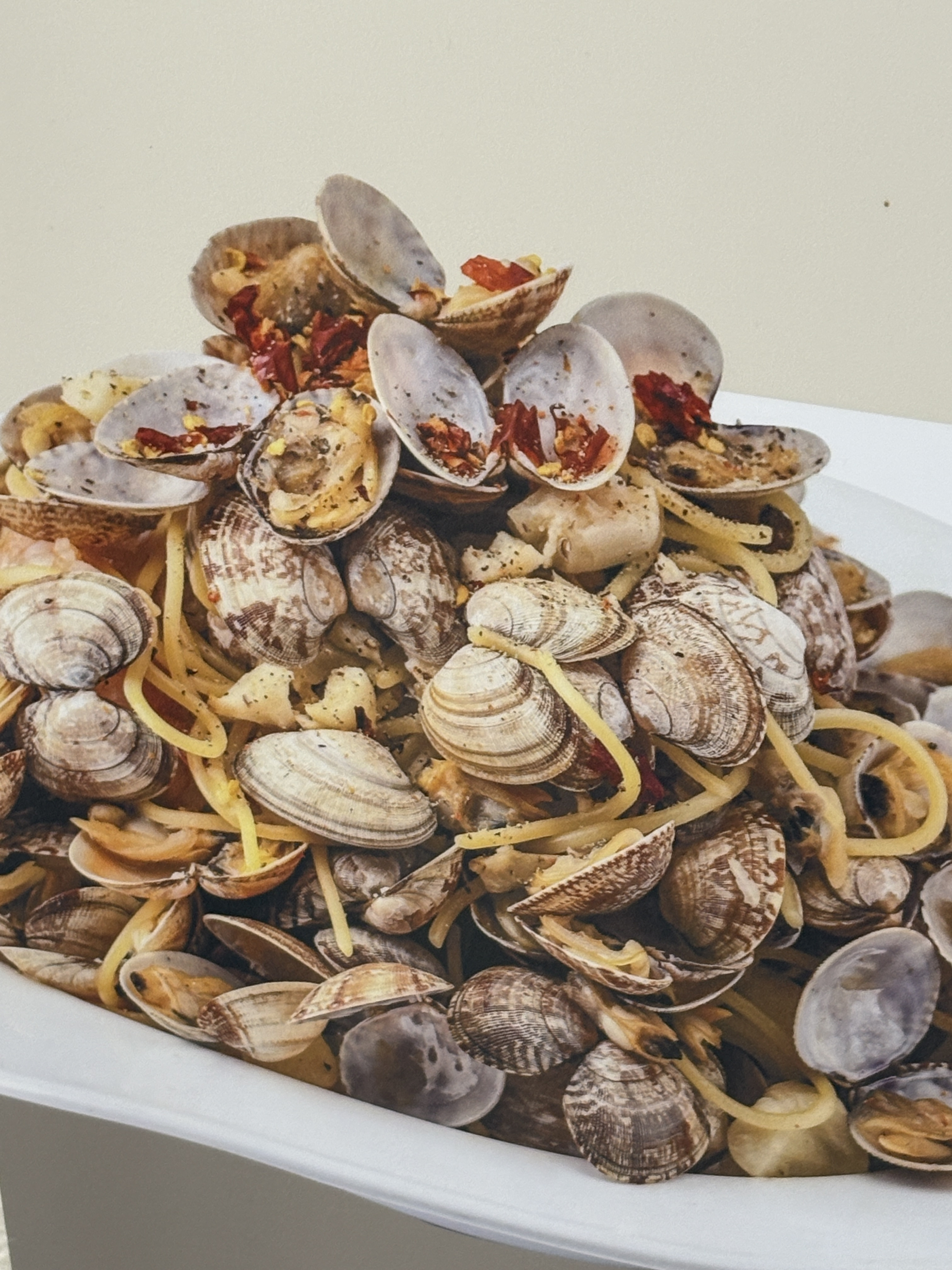 아니-오늘-동네식당-토마토스파게티시켯는데-양이-1-이미지