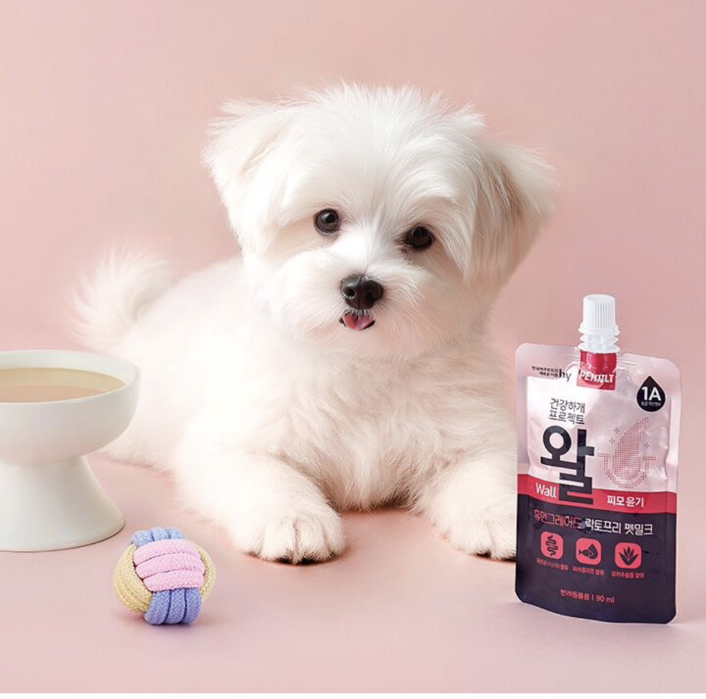 은근-악개가-많다는-윌-시리즈-11-이미지