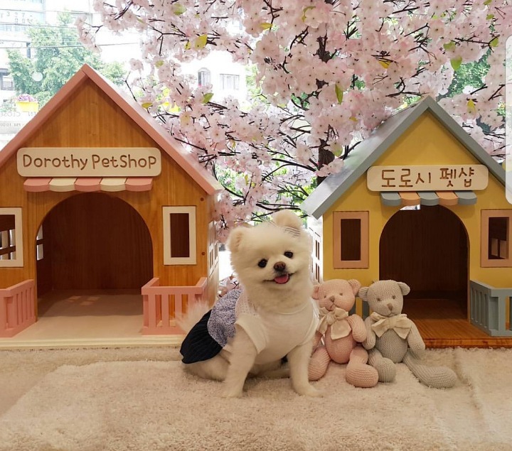 만화책-십만권-소장중이라는-남자-3-이미지