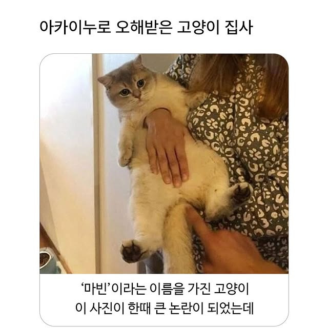 아카이누로-오해받은-고양이-집사-0-이미지