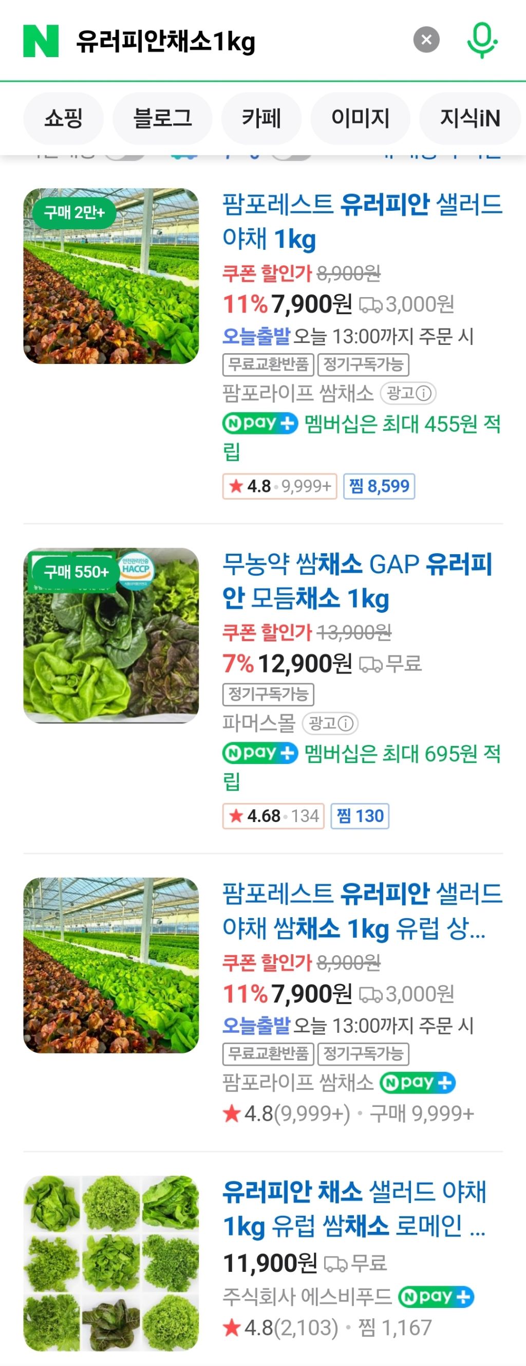 밀프랩한다고-채소-1kg씩-사서-먹어본-후기-1-이미지