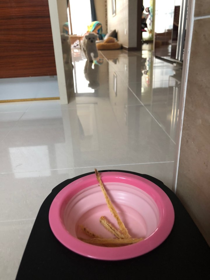 더쿠-후기방에-올라와-귀여움-받은-'식탐-많은-댕댕이'-글-38-이미지