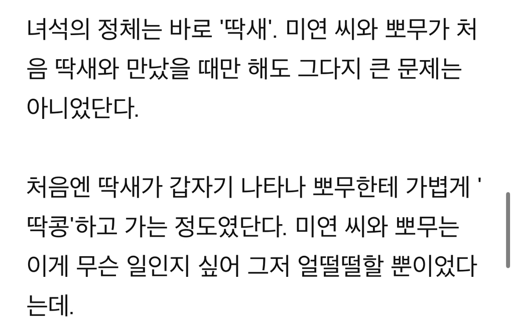 푸들만-보면-공격하는-‘공포의’-딱새-‘난-시츄인데-왜…’-3-이미지