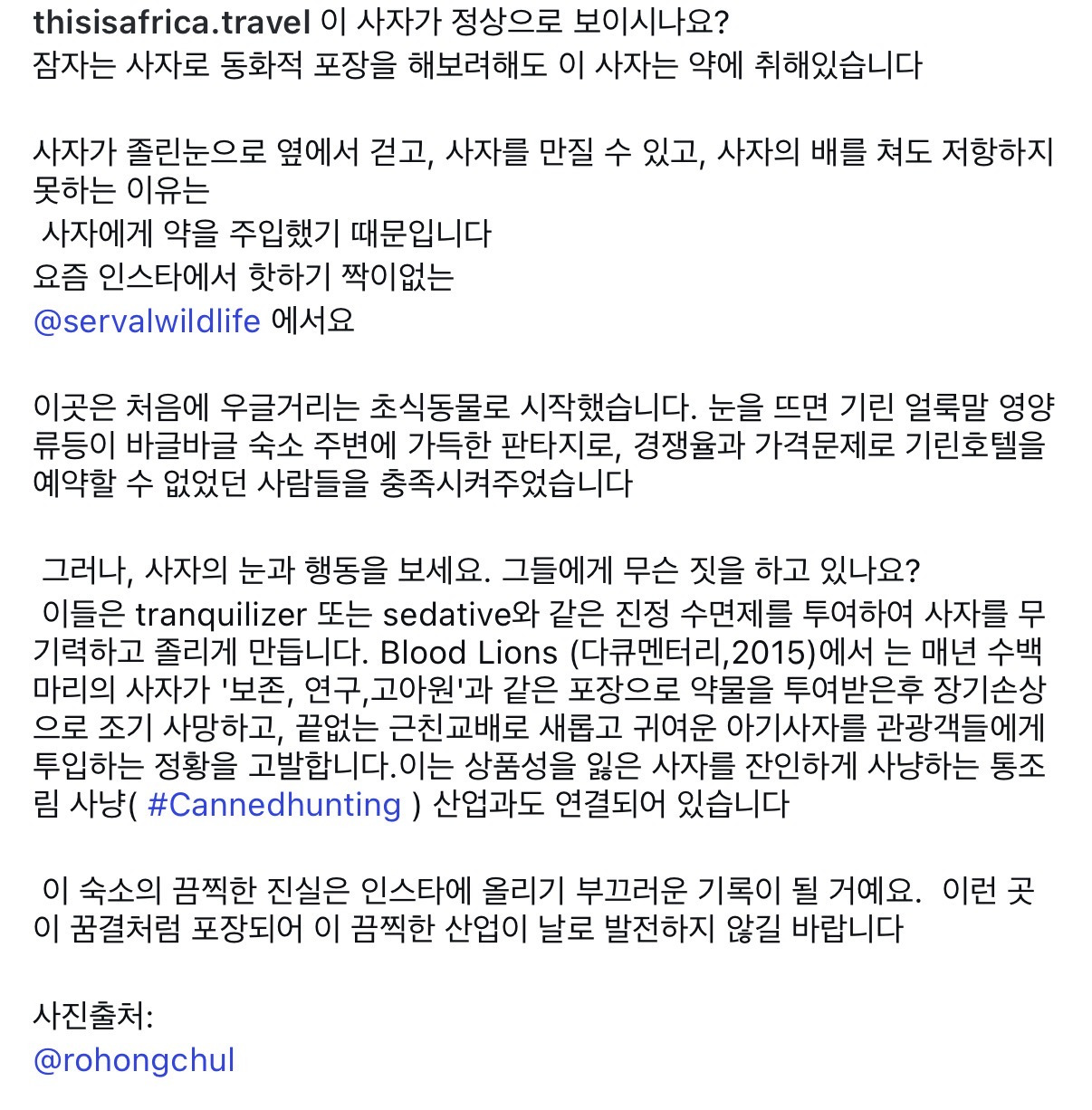 노홍철-인스타에-올라온-약에-취한-사자-1-이미지