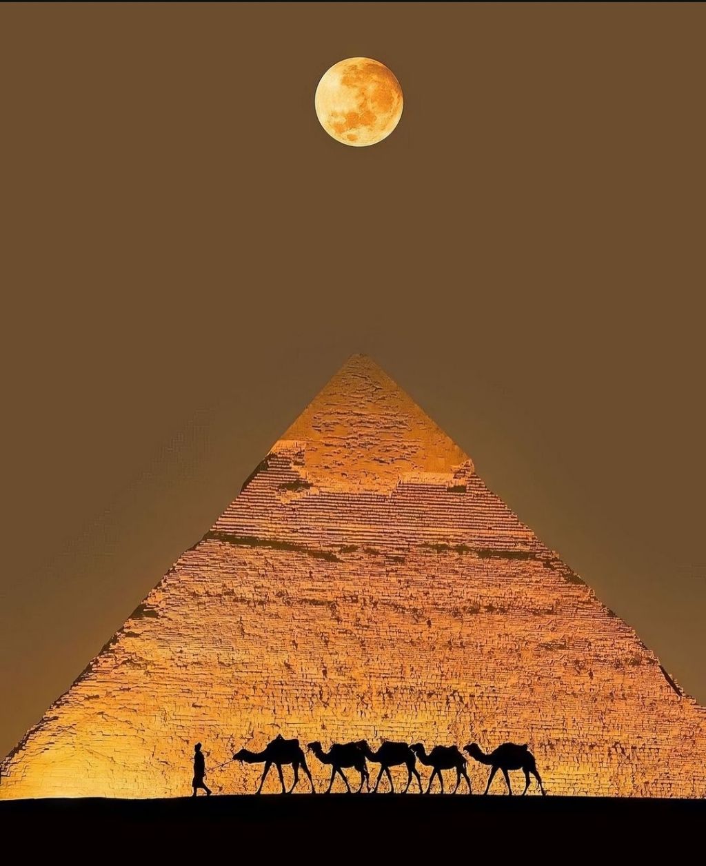 피라미드-꼭대기-1-이미지