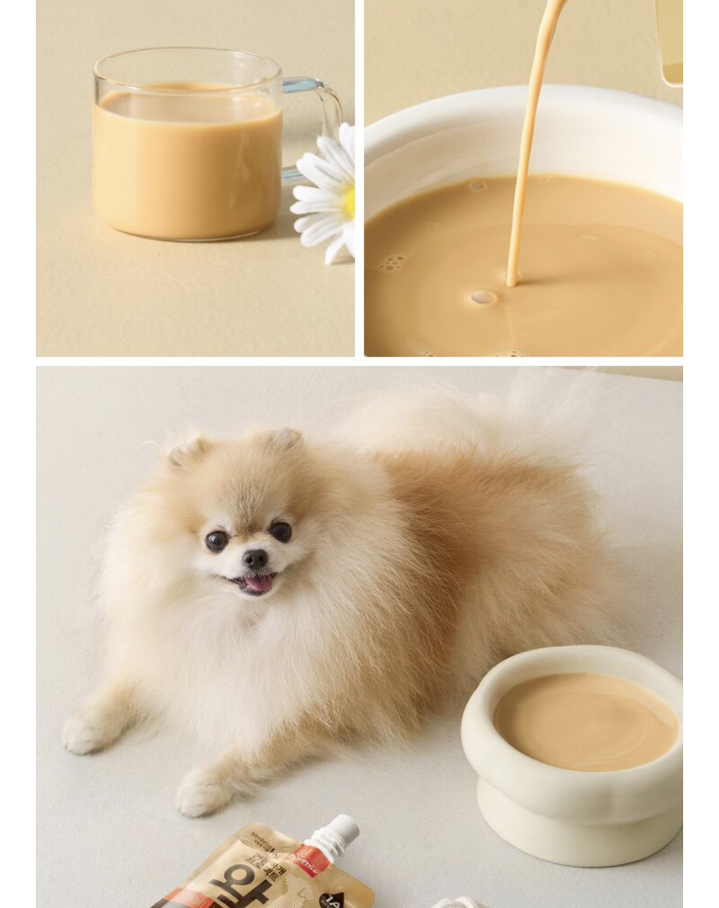 은근-악개가-많다는-윌-시리즈-10-이미지