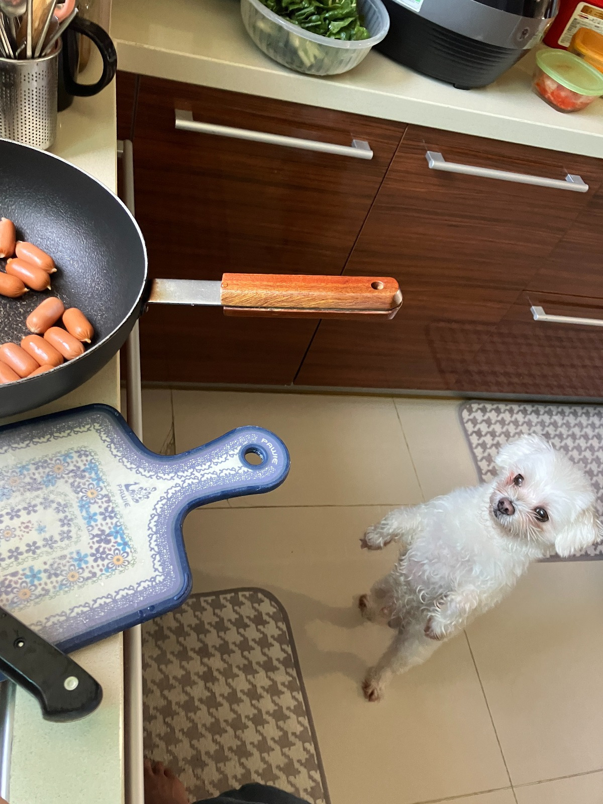 더쿠-후기방에-올라와-귀여움-받은-'식탐-많은-댕댕이'-글-0-이미지