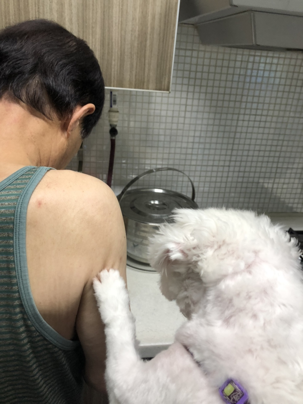 더쿠-후기방에-올라와-귀여움-받은-'식탐-많은-댕댕이'-글-21-이미지