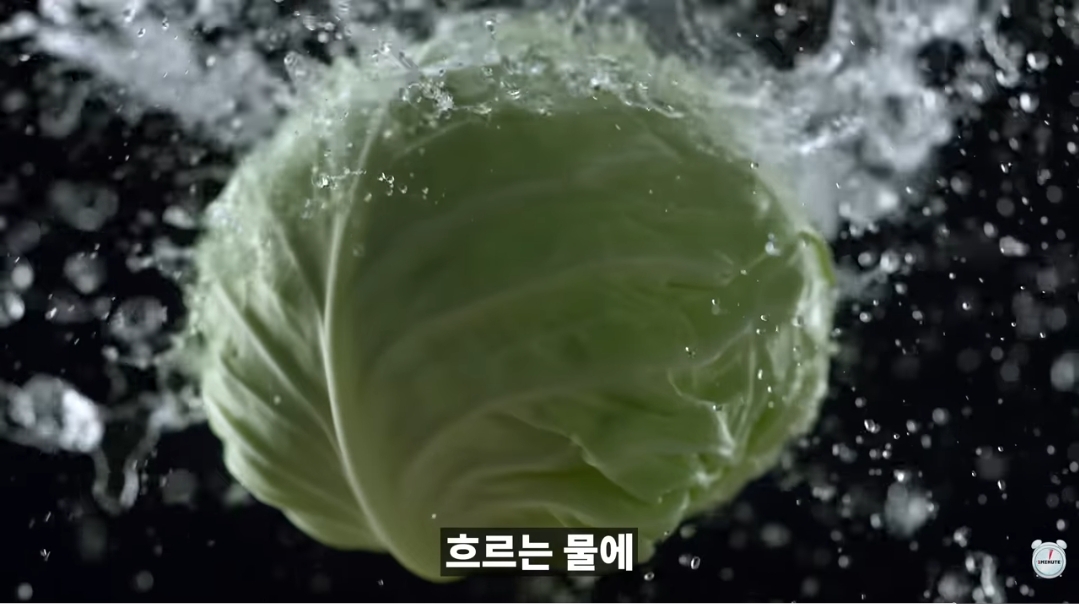 양배추-1나장-1나장씩-열심히-세척하던-분들-보세요.jpg-10-이미지